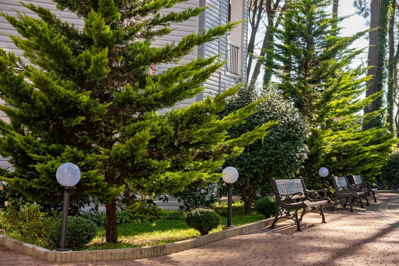 Buxus Hotel Shekvetili Eksteriør bilde