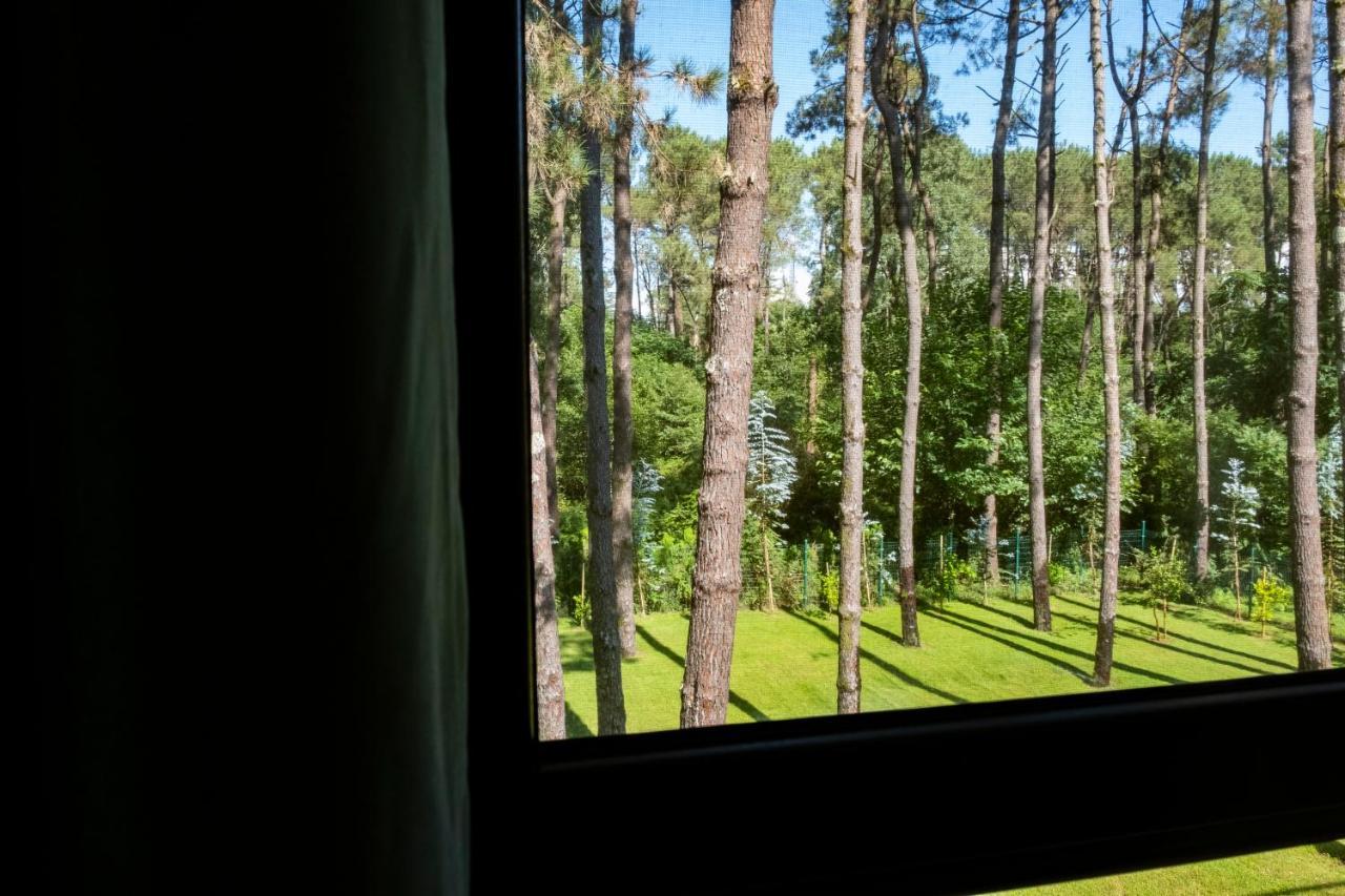 Buxus Hotel Shekvetili Eksteriør bilde