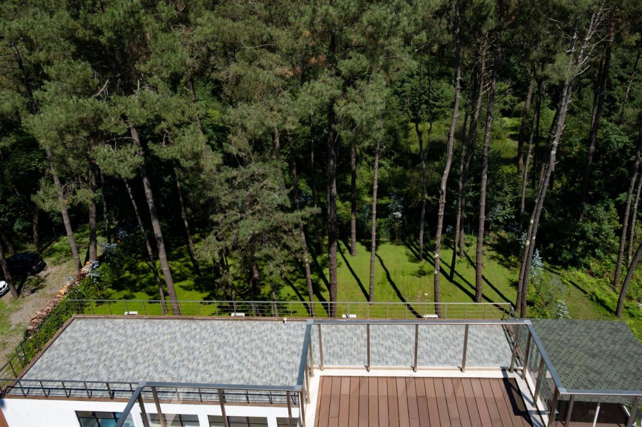 Buxus Hotel Shekvetili Eksteriør bilde