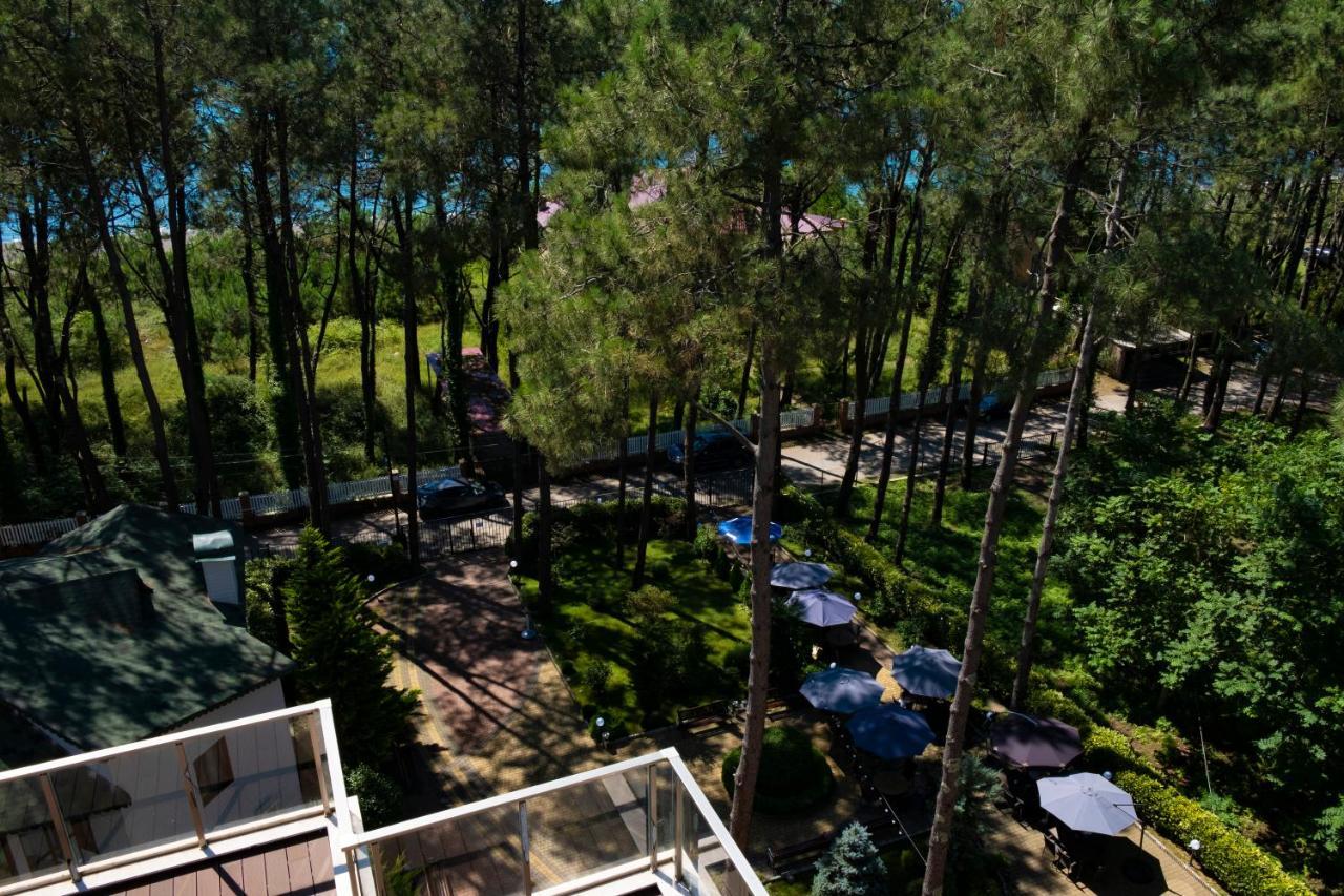 Buxus Hotel Shekvetili Eksteriør bilde