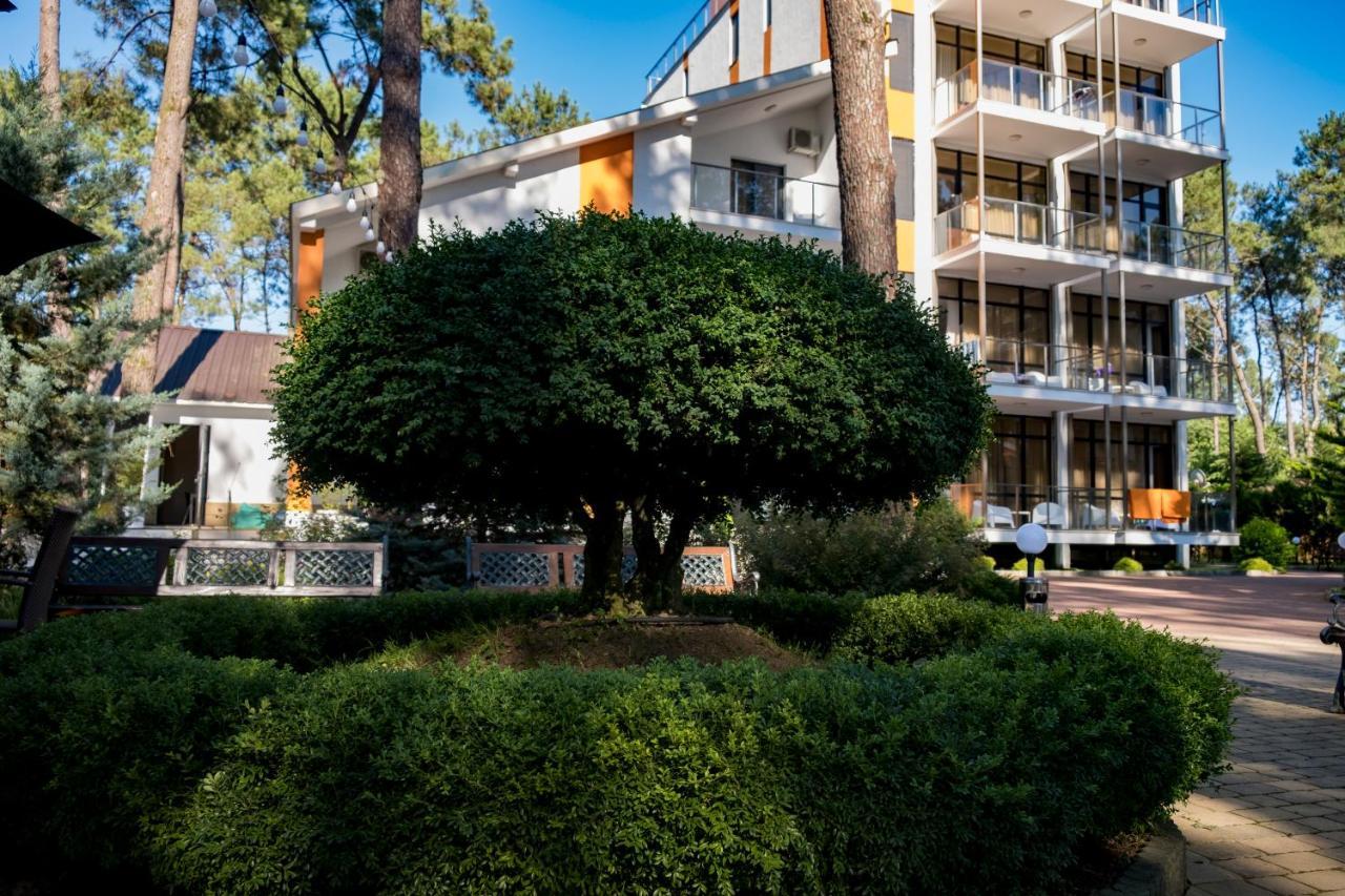 Buxus Hotel Shekvetili Eksteriør bilde